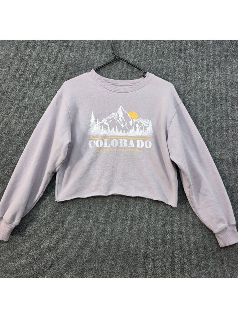 Hollister Cropped Sweatshirt S Purple Colorado Rocky Mountains Graphic Outdoor